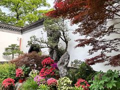 -上海醉白池公园