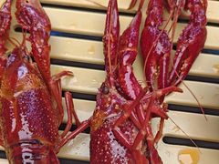 -肥肥虾庄·金牌油焖大虾(东湖欢乐谷店)