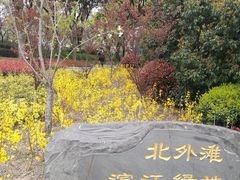 -北外滩滨江绿地