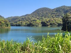 -广州市石门国家森林公园