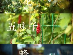 -上海广德中医门诊部