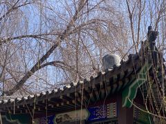 -桃花堤公园