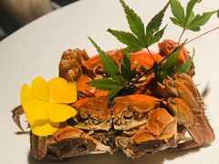 -木守西溪溪隐餐厅