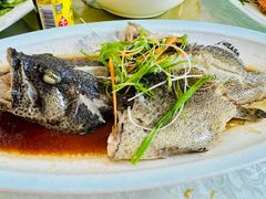 清蒸小龙胆-浔埔人海鲜楼