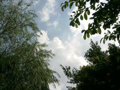 -怡海公园(桂城街道)