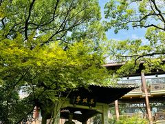-杭州花家山庄