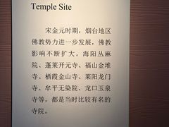 -烟台市博物馆