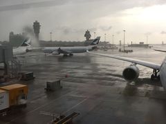 -翡翠拉面小笼包(机场DFS店)