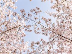 -龙美术馆(西岸馆)