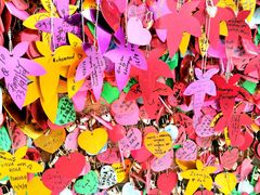 -金马仑薰衣草花园(Cameron Lavender)