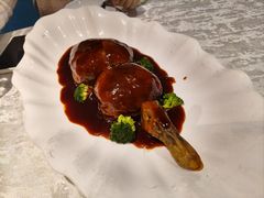-丁老爷子苏香圆