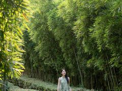 -天目湖涵田度假村