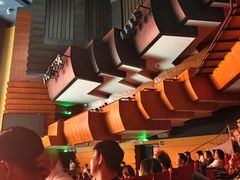 -顺德演艺中心大剧院