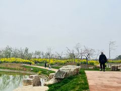 -武汉紫薇都市田园