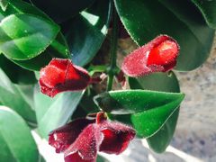 -三旗百汇商品城