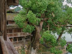 -刘伯温故里景区百丈漈