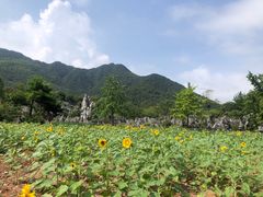 -千岛湖石林