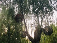 -西湖天地