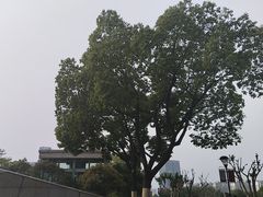 -合肥南站