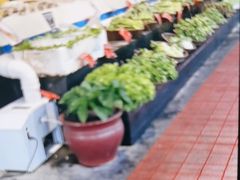 -苏先生海鲜渔庄(金桥店)