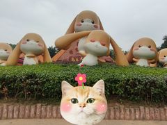 -深圳野生动物园