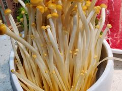 金针菇-九孔·筒骨莲藕汤锅(大明宫万达店)