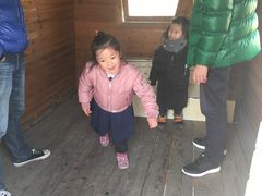 -田园东方蜜桃村的田野营地