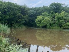 -沈阳市东陵公园