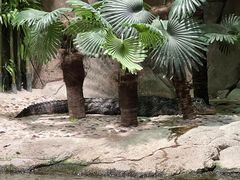 -上海海洋水族馆