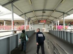 -厦门邮轮中心厦鼓码头(轮渡站)