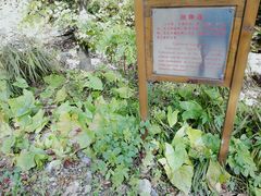 -北京上方山国家森林公园