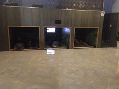 -纽斯桑拿会所(餐厅天山路店)