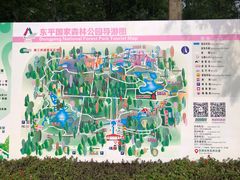 -东平国家森林公园