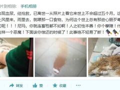 盛京一禾-盛京一禾