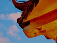 -水濂山森林公园