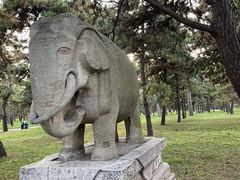 -北陵公园
