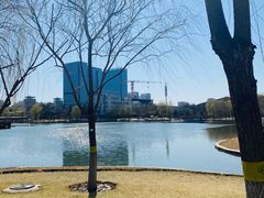 -西海子公园