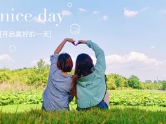 -白鹭湾湿地公园