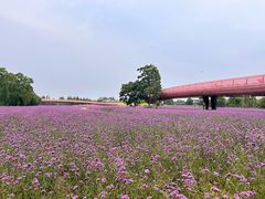 -江苏三台山国家森林公园
