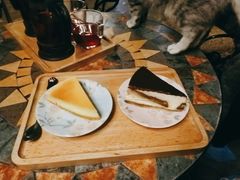 -猫猫幼稚园·撸猫·桌游·电玩