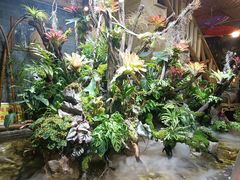 -多哥水傣味餐厅(司马巷店)