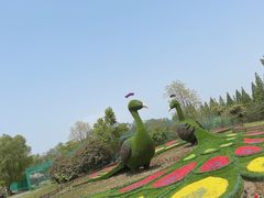 -泗洪洪泽湖湿地景区