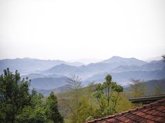 -莫干山风景区