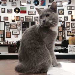 -MARTIN'S BARBER SHOP男士理发馆
