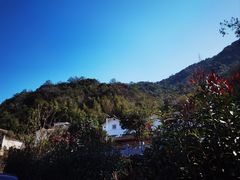 -雁南飞茶田景区
