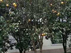 -张家界青和锦江国际酒店