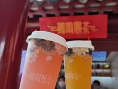 常喜乐柠檬芭乐茶-鸡鸣赐茶(鸡鸣寺路店)
