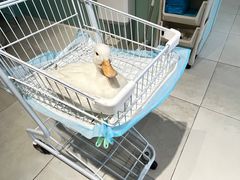 -怪兽屋·羊驼·猫咖·狗咖(俊华广场店)