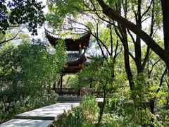 -金鸡山公园