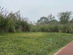 -桤木河湿地公园